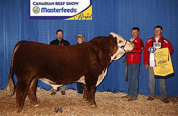 a bull and its young owner recieve a prize